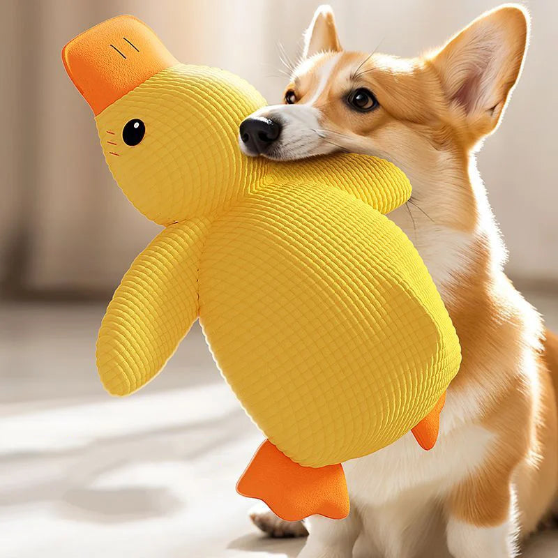 Cuddly Duck Dog Friendly Toy - for Play, Chew & Sleep
